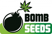 Cosmic Bomb Auto - Feminized - Bomb Seeds