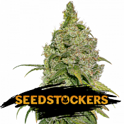 Do-Si-Dos - Feminized - Seed Stockers