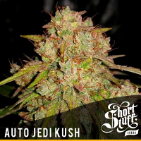 Shortstuff Seeds Auto Jedi kush Feminized