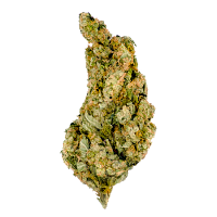 Giant Skittlez - Feminized - Mega Buds