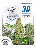 Dutch Passion Seeds 30th Anniversary Mix Feminized