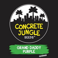 Concrete Jungle Seeds Grand Daddy Purple Feminized