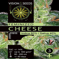 Vision Seeds Gouda's Grass Feminsed
