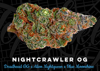 Top Shelf Elite Seeds Nightcrawler O.G. Feminized