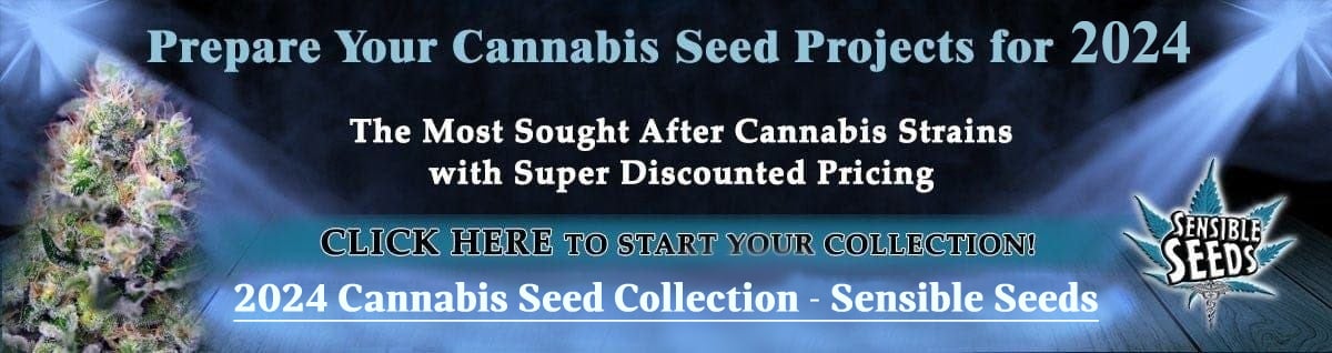 2024 Cannabis Seed Collection - Sensible Seeds