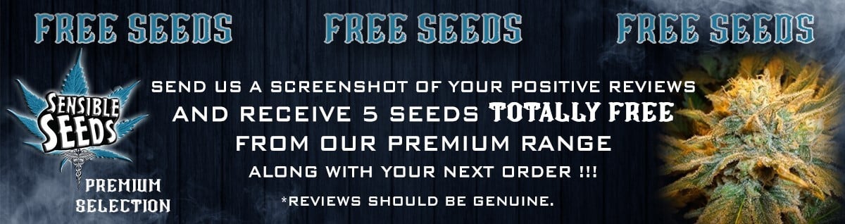 Sensible Seeds Premium Selection