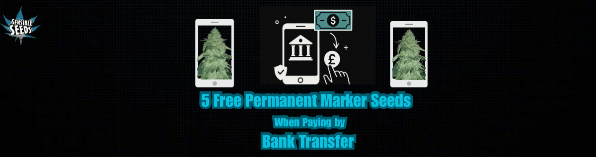 Bank Transfer promo 
