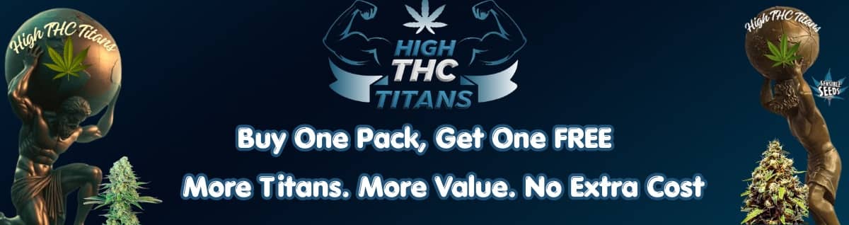 High THC Titans   