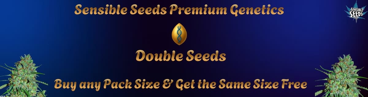 SensibleSeeds Premium Cannabis seed selection offer