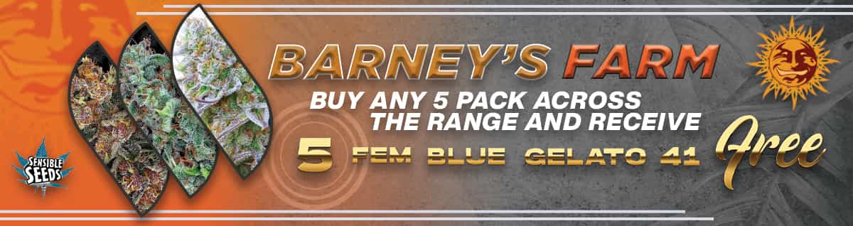 Seed Bank - : barneys-farm-seeds