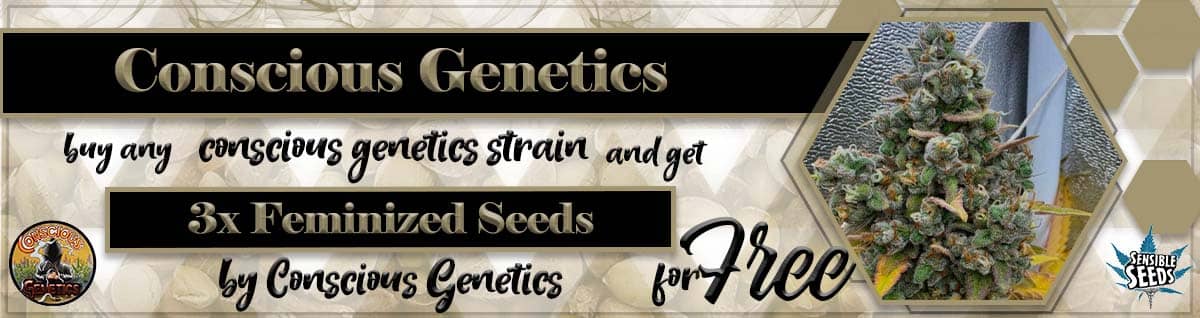 Seed Bank - : conscious-genetics