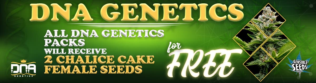 Seed Bank - : dna-genetics-seeds