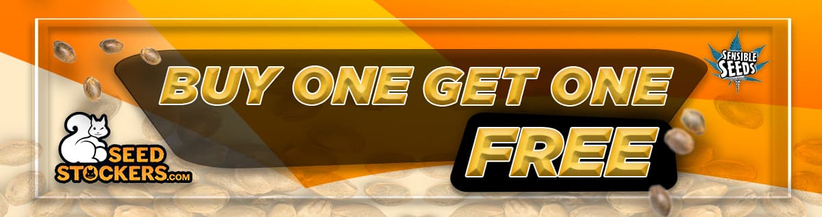 Seed Bank - : seed-stockers-seeds