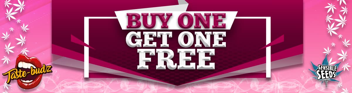 Seed Bank - : tastebudz-seeds