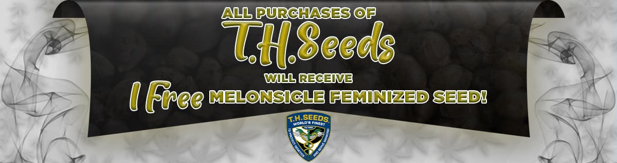 Seed Bank - : thseeds