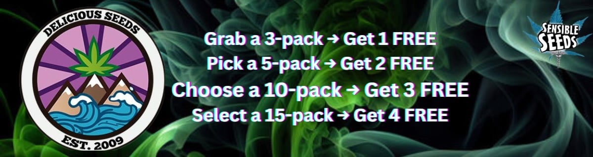 Seed Bank - : delicious-seeds