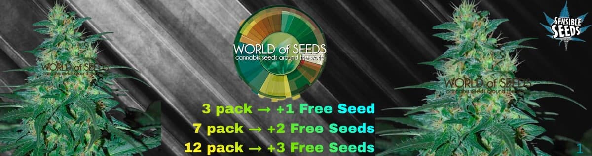 Seed Bank - : world-of-seeds