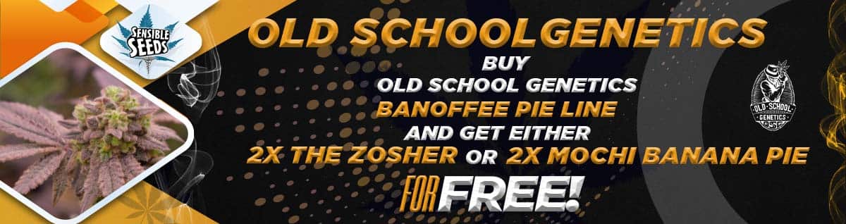 Seed Bank - : old-school-genetics-seeds