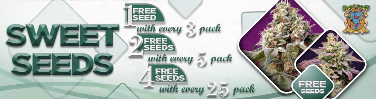 Seed Bank - : sweet-seeds