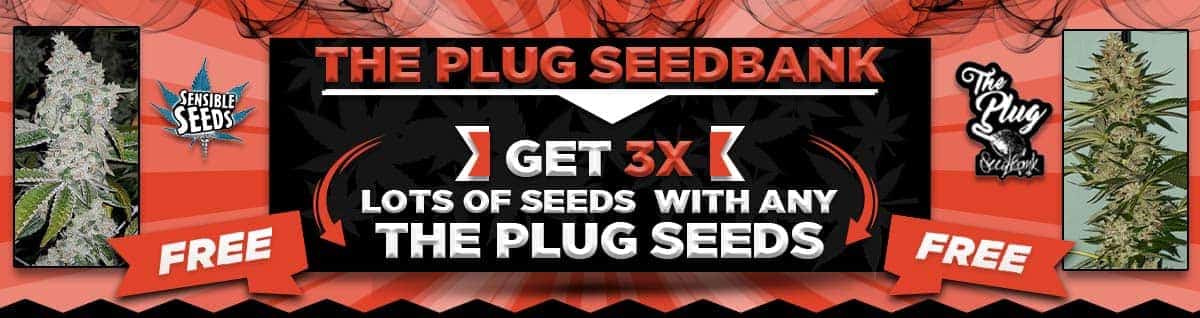 Seed Bank - : the-plug-seedbank