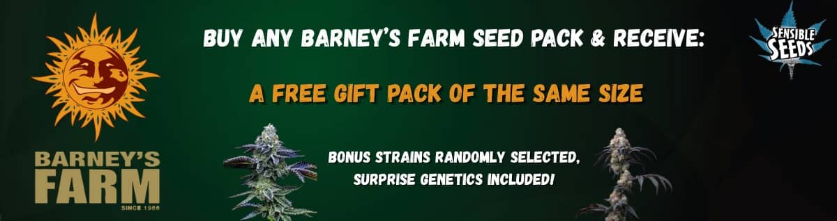 Seed Bank - : Barneys-farm-seeds