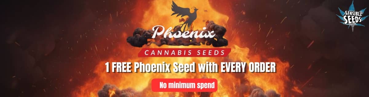 Seed Bank - : Phoenix-Seeds