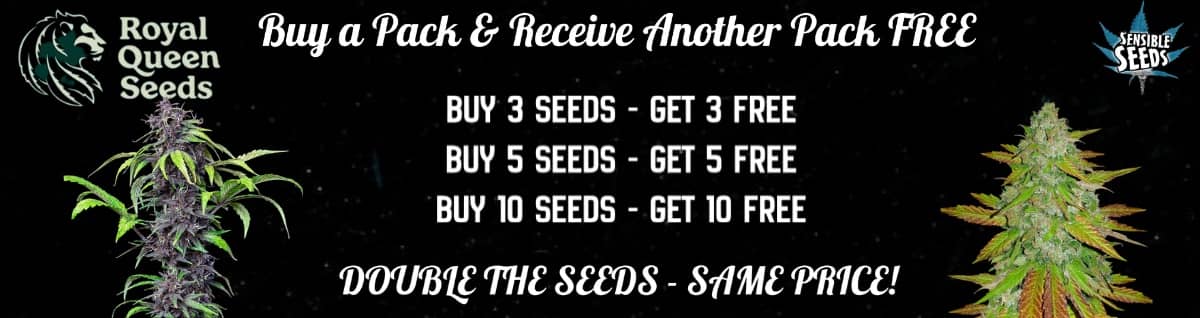 Seed Bank - : Royal-queen-seeds