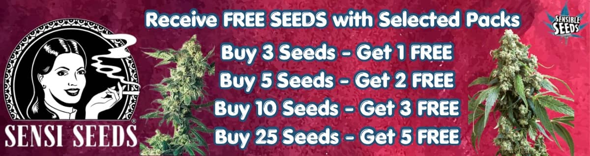 Seed Bank - : Sensi-seeds