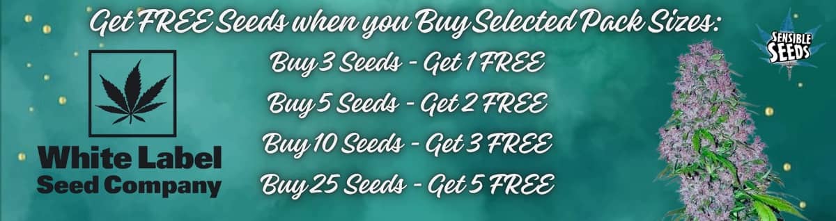 Seed Bank - : White-label-seeds