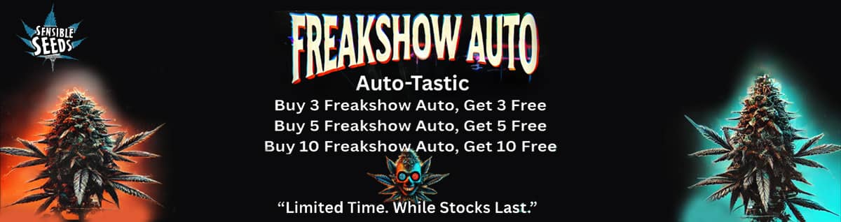 Seed Bank - : auto-tastic-cannabis-seeds2