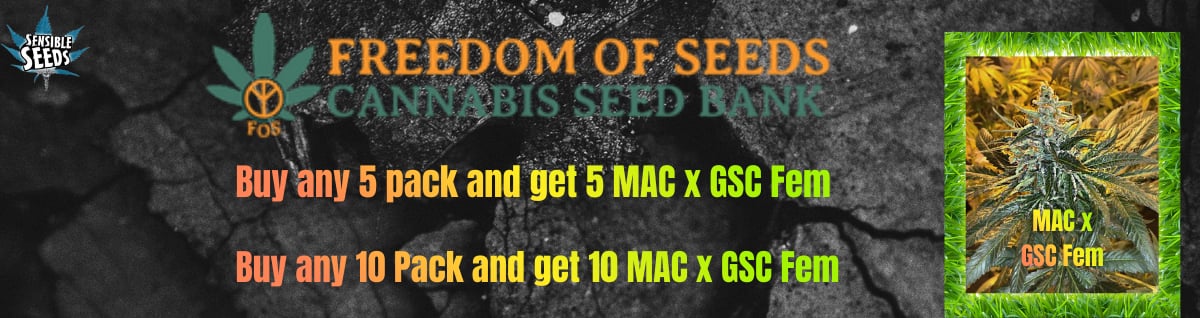 Seed Bank - : freedom-of-seeds