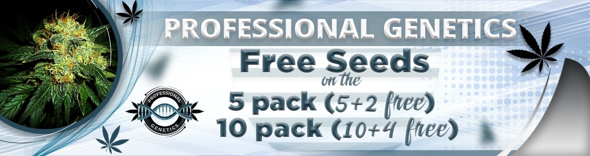 Seed Bank - : professional-genetics