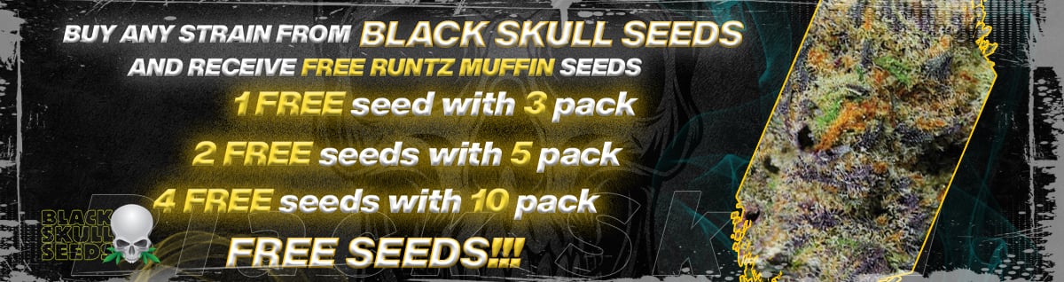 Seed Bank - : black-skull-seeds