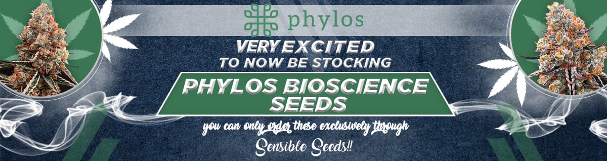 Seed Bank - : phylos-bioscience